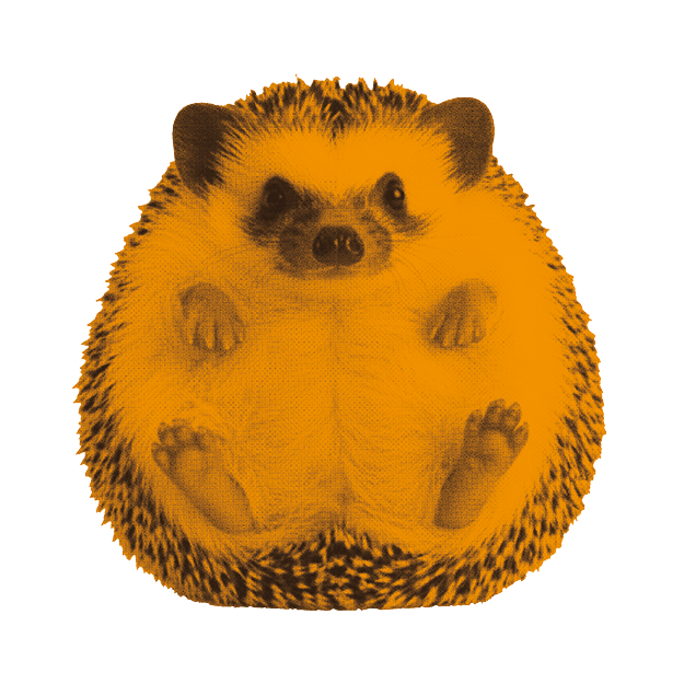 PAM favicon V3 2